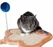 Paw shaped Cat Scratch Pad