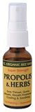 YS Royal Jelly/Honey Bee - Propolis & Herbs, 1 fl oz liquid