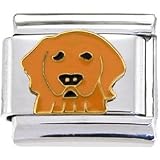 Golden RETRIEVER DOG Italian Charm