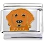 Golden Retriever Dog Italian Charm