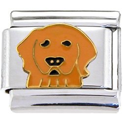 Golden RETRIEVER DOG Italian Charm