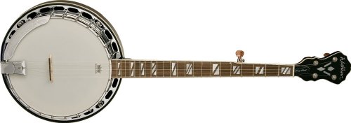 Washburn Signature Series B160K Banjo