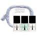 Lippmann Collection - I Will Survive Ultimate Treatment Set