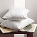 Dual Chamber Standard Pillow Complete Set (4 Standard Pillows)