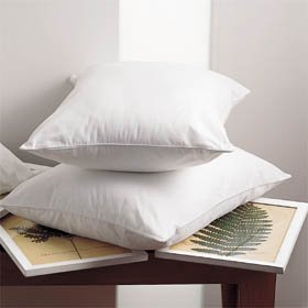 Down Encompass Dual Chamber Standard Pillow Set 