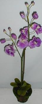 26" Royal Phaleonopsis Orchid (lavender)