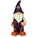 Phoenix Suns Team Gnome - Purple/ Orange (11