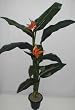 5' Bird of Paradise Tree