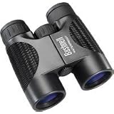 Click here to buy H2O 8x42 Waterproof/Fogproof Roof Compact Binocular by Bushnell.