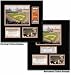 Baltimore Orioles Oriole Park at Camden Yards Ballpark Ticket Frame