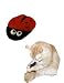 Pet Supplies : Lady Bug