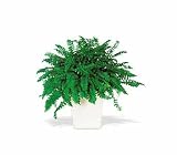 Teleflora