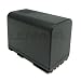 Electronics : Lenmar LIC970G Replacement for Canon BP-970G, BP-950G
