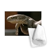 Lizard - Tea Towel 100% Cotton - Art247 - Tea Towel - 46x70cm