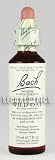 Wild Oat Tincture 20 ml