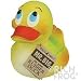 Baby : Rich Frog Mr. Big Giant Rubber Duck- Natural Latex Rubber No Phthalates