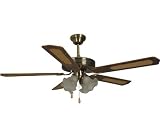 Venezia Ceiling Fan
