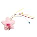 Pet Supplies : Star Chaser Catnip Toy