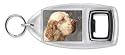 Clumber Spaniel Dog Bottle Opener Keyring Gift, Ref:AD-CS1BO