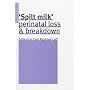 Spilt Milk: Perinatal Loss and Breakdown (Psychoanalytic ideas)