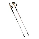 Black Diamond Trail Ergo Cork Trekking Pole