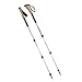 Black Diamond Trail Ergo Cork Trekking Pole