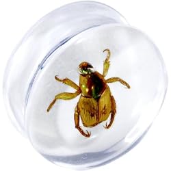 24mm Organic Beetle Resin Saddle Plug