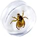 24mm Organic Beetle Resin Saddle Plug