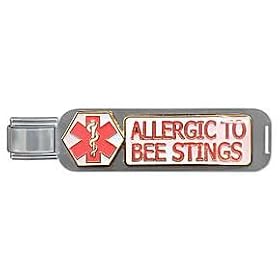 Clearly Charming Allergic to Bee Stings Large Life Links Medical Alert Attachment Italian Charm Bracelet Link
