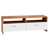 Schrank selber bauen