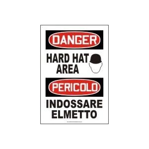 DANGER HARD HAT AREA (W/GRAPHIC) Sign - Plastic