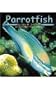 Parrotfish (Pebble Books)