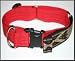 E-Z Leash