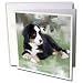 Dogs Bernese Mountain Dog - Bernese Mountain Dog - Greeting Cards-6 Greeting Cards with envelopes