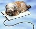 Allied Precision Large Plastic Heated Pet Mat
