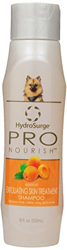 HydroSurge Pro Nourish Exfoliating Skin Treatment with Sulfur Shampoo Apricot Scented 18 ounces