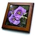 Purple Bluebell - lisianthus flower, lisianthus, texas bluebell, prairie gentian, flower - 8x8 Framed Tile