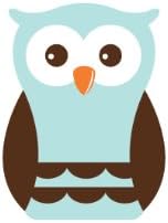 Boy Owl Wall Decal - Brown/Pale Aqua