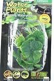 Hagen Exo-Terra Water Plants Fanwort