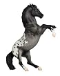 Rearing Appaloosa - Blue Roan&nbsp;