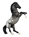 Rearing Appaloosa - Blue Roan&nbsp;