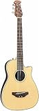 Applause AA12-4 1/2 Steel String Acoustic Guitar, Natural