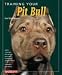 Barrons Books Training Your Pit Bull