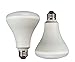 TCP 65 Watt Equivalent, BR30 LED Reflector Light Bulbs, Dimmable, Daylight White (2 Pack)