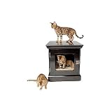 TownHaus Designer Wooden Litter Box Enclosure Finish: Espresso