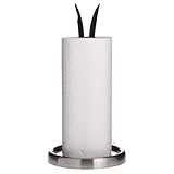 Michael Graves Design Paper Towel Holder