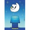 Peanuts Glow in the Dark Poster Poster Print, 27x39 Poster Print, 27x39