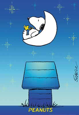NEW SNOOPY PRINT GLOW IN THE DARK RARE PEANUTS POSTER