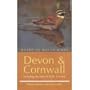 Where to Watch Birds in Devon and Cornwall