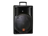 Mr Dj PBS1609MP3 1600 Watts Max, 12-Inch DJ Speaker with Built-In Amplifier and 5-Band EQ
